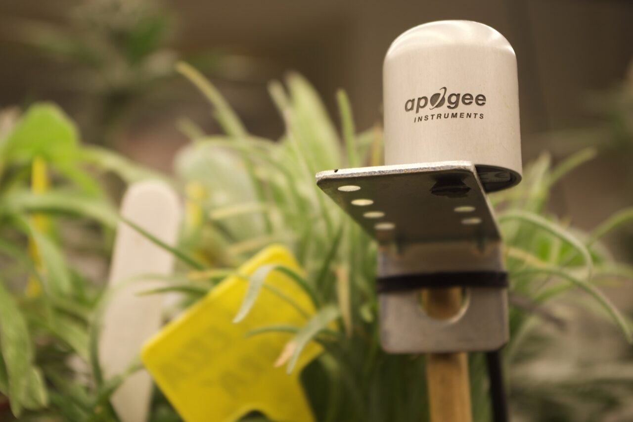 Apogee quantum PAR sensor mounted in front of a softly blurred plant canopy